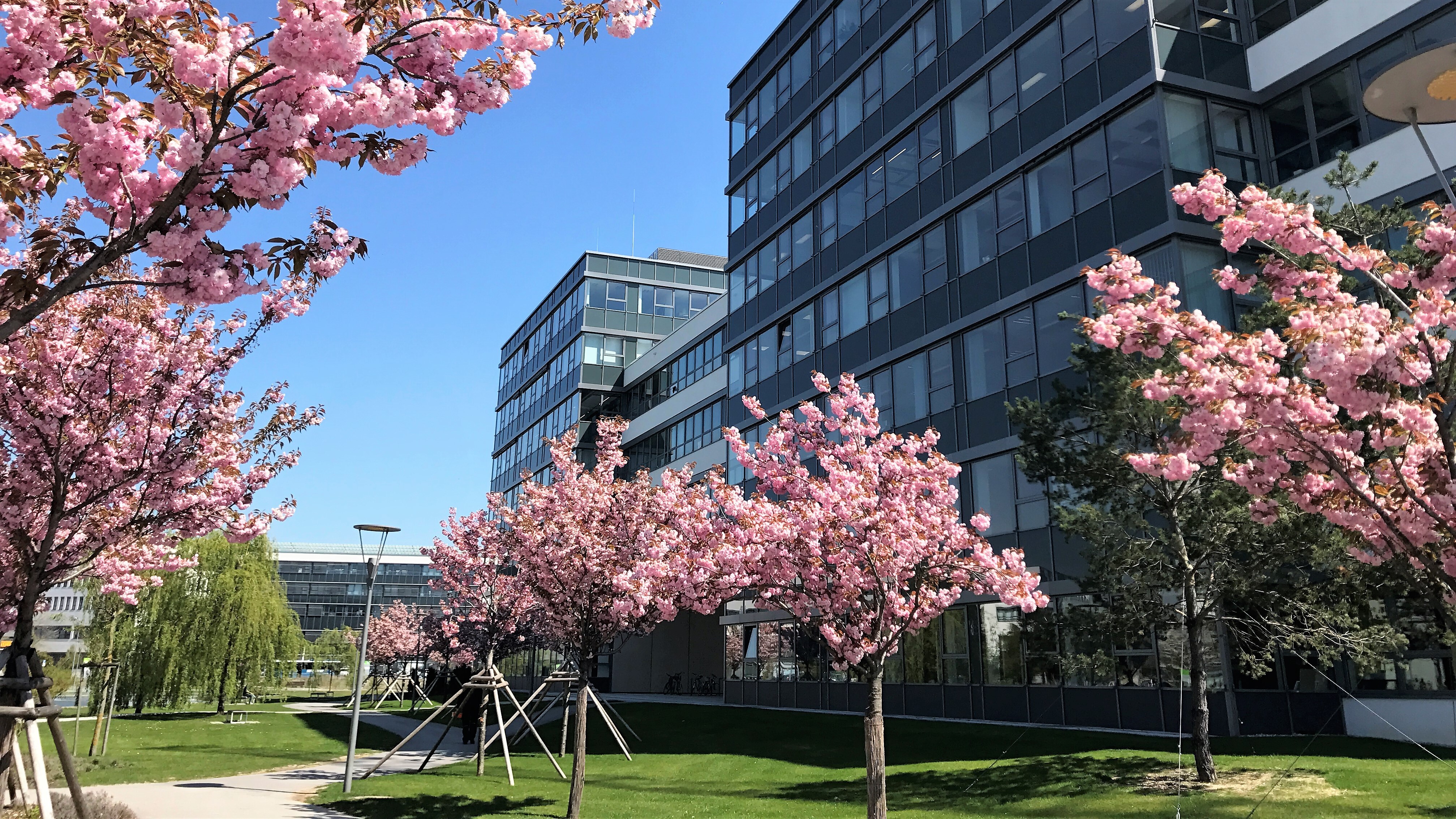 Wir würden Flexwhere anderen Unternehmen empfehlen